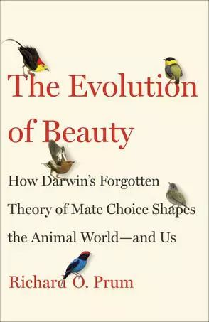 Ľıż춯ǡ(The Evolution of Beauty: How Darwins Forgotten Theory of Mate Choice Shapes the Animal World  and Us)